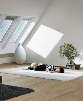 Plaatsing van nieuw VELUX dakvenster